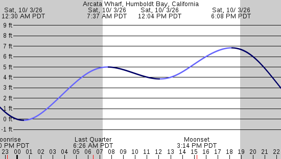 tide graph